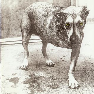 Alice in Chains