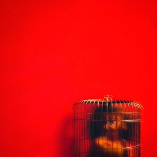 Aviary: Act II