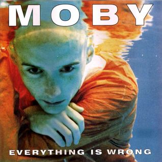Everything Is Wrong