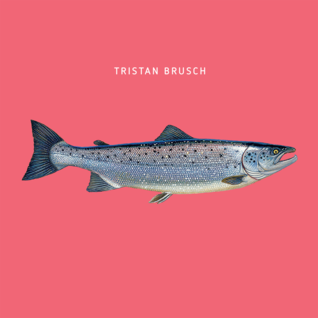 Fisch EP