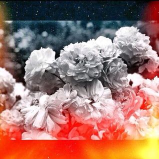 Fluorescent Flowers