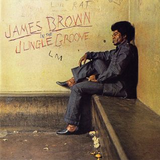 In the Jungle Groove