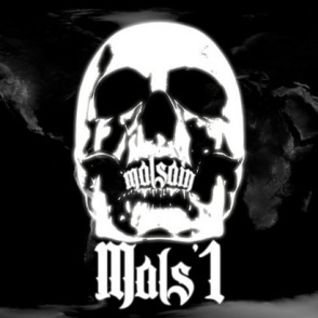 L'intégral malsain 1