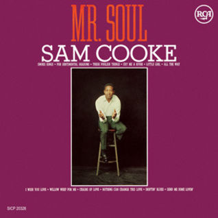 Mr. Soul