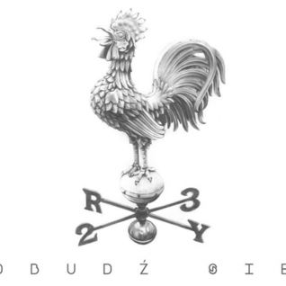 Obudź się