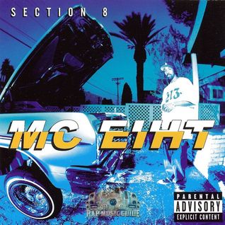 Section 8