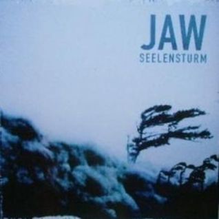 Seelensturm LP
