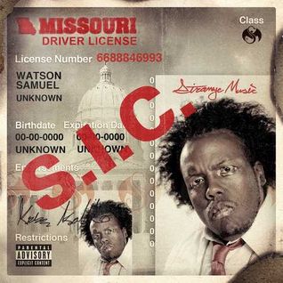 S.I.C.