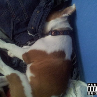 The Very Illegal EP
