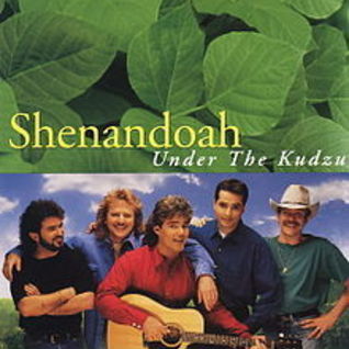 Under The Kudzu