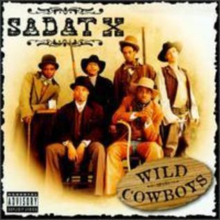 Wild Cowboys