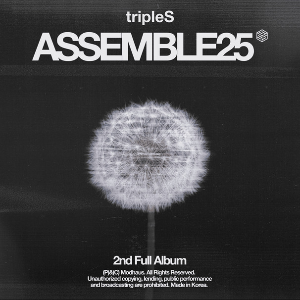 ˂ASSEMBLE25˃