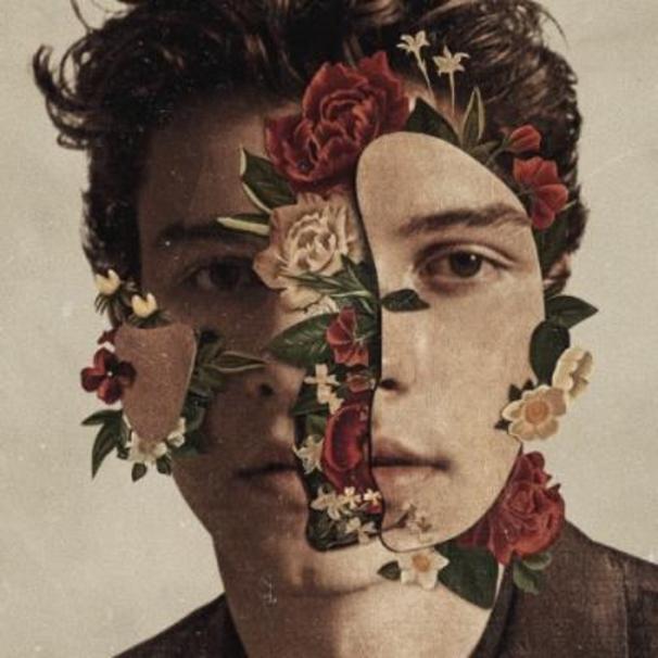 Shawn Mendes