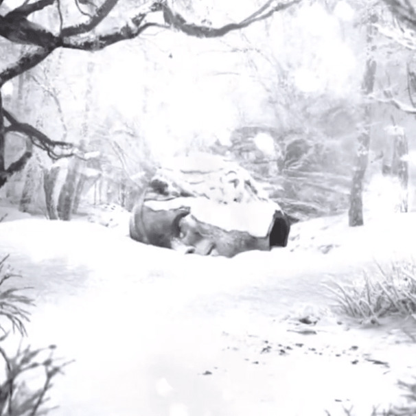 SZNZ: Winter