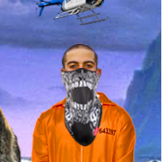 BoGomol