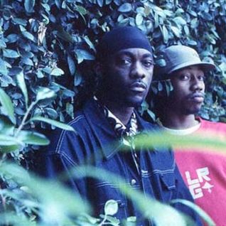 Cali Agents