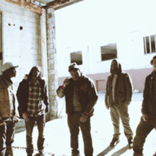 Fly Rebel Society