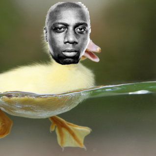 InspectahDuck