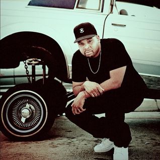 Jay 305