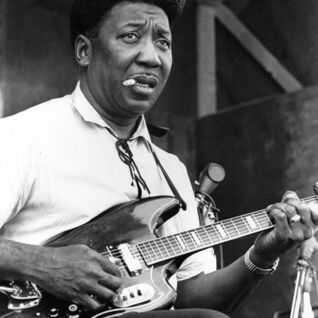 Muddy Waters