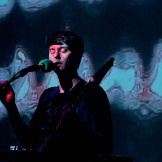 Panda Bear