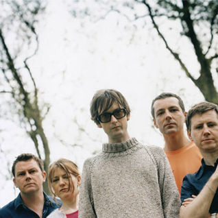 Pulp