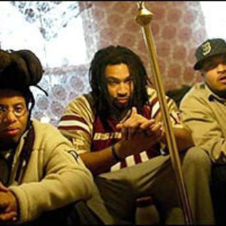 The Perceptionists