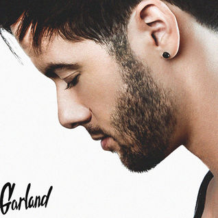 Travis Garland