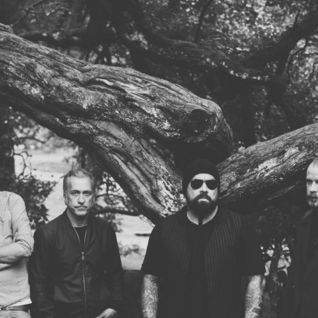 Ulver