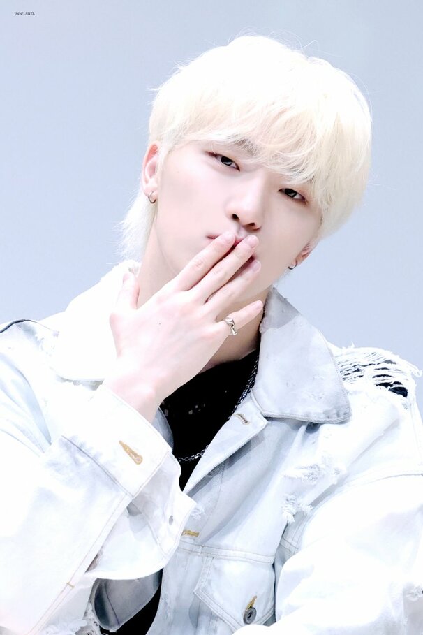 DINO (디노)