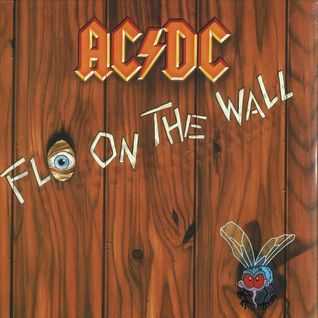 Fly on the wall