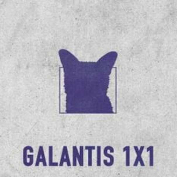1×1