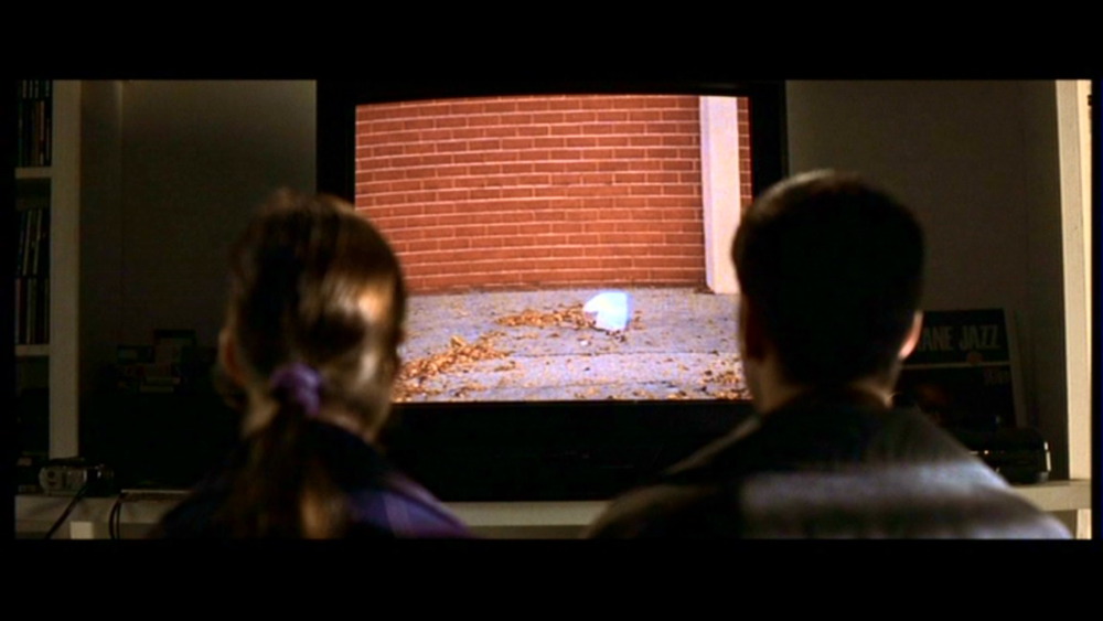 American Beauty