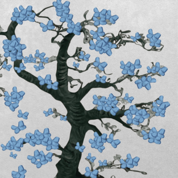 butterflies