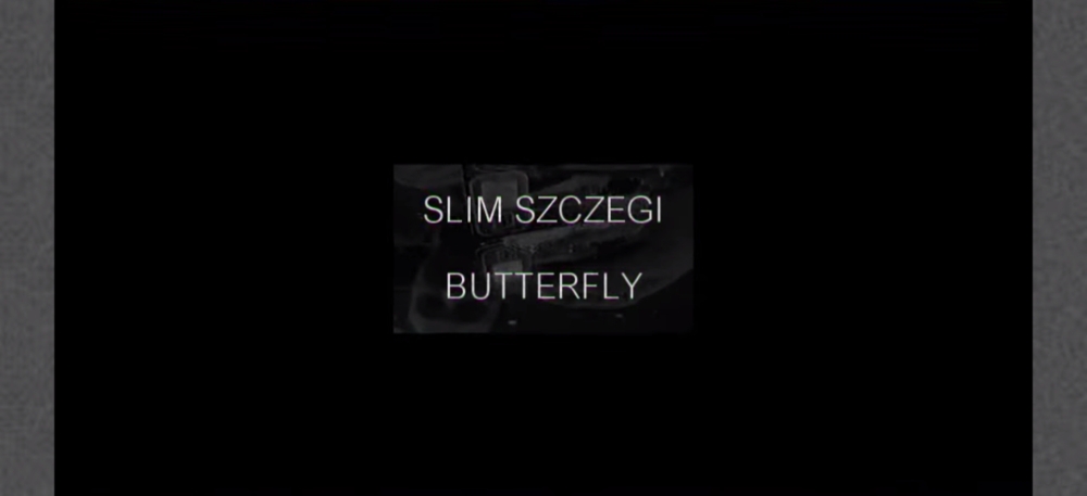 Butterfly