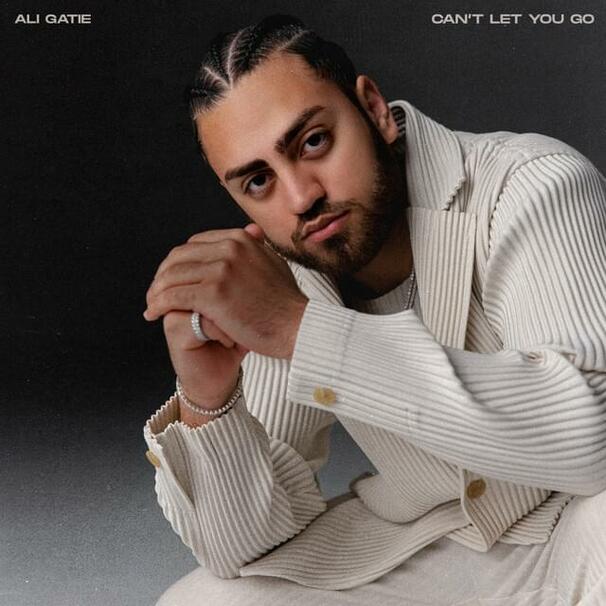 Can’t Let You Go
