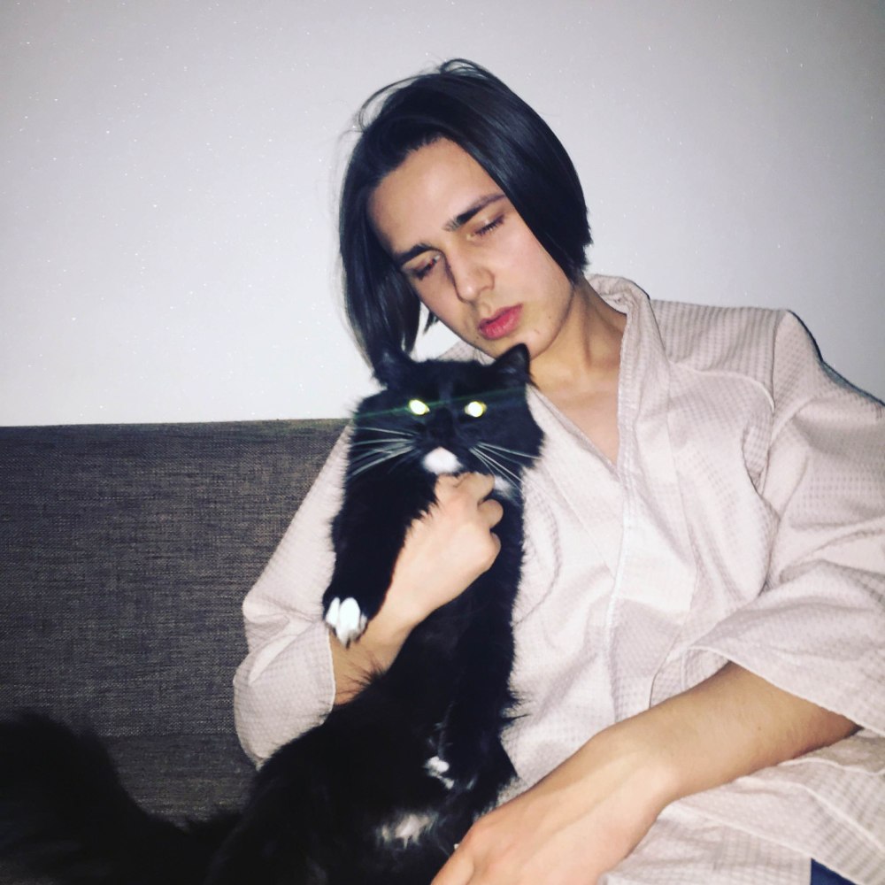 Cat (Кот)