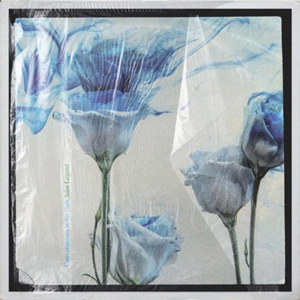 Conversations in the Dark