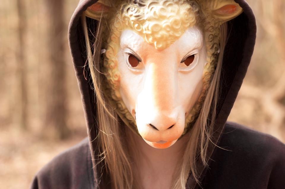 Beef