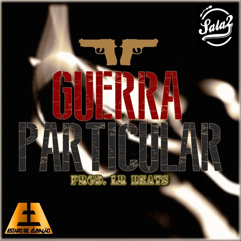 Guerra Particular