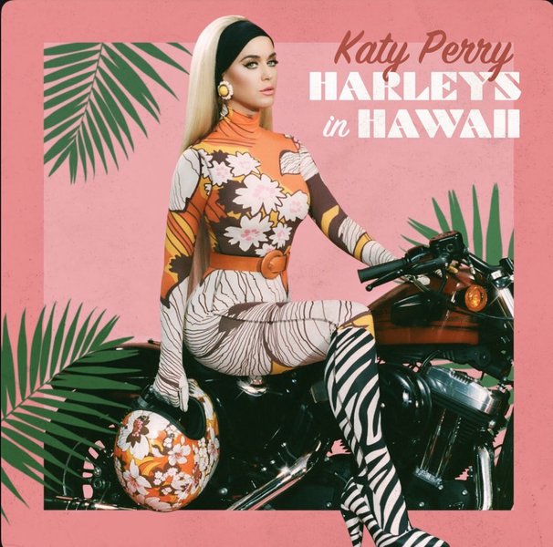 Harleys in Hawaii