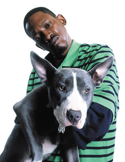 Streetlights