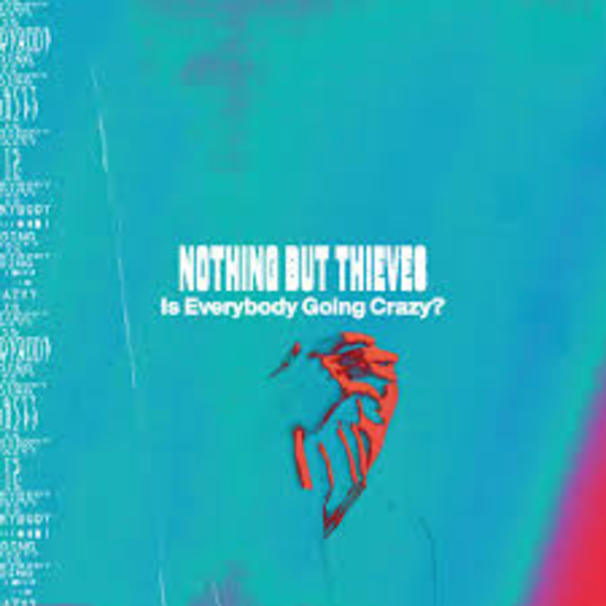 NBT3*