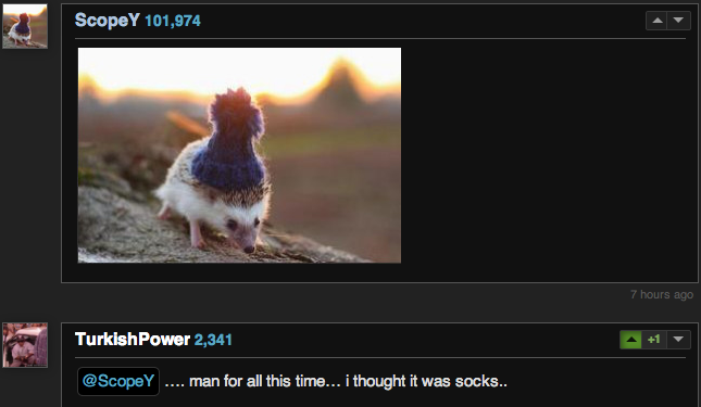 Sock Drawer