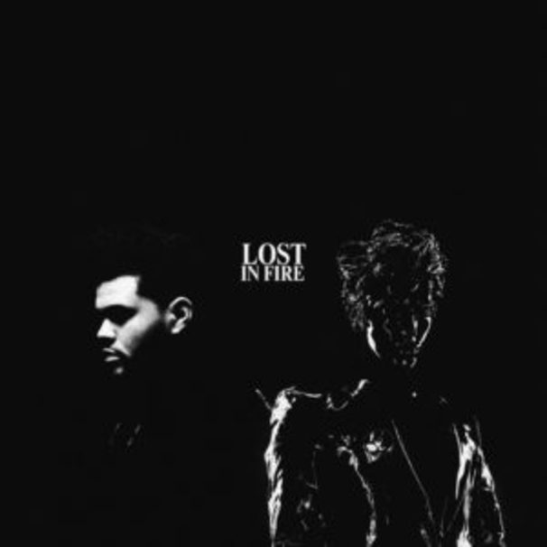 Lost in the Fire