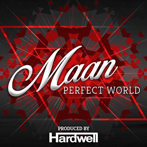 Perfect World