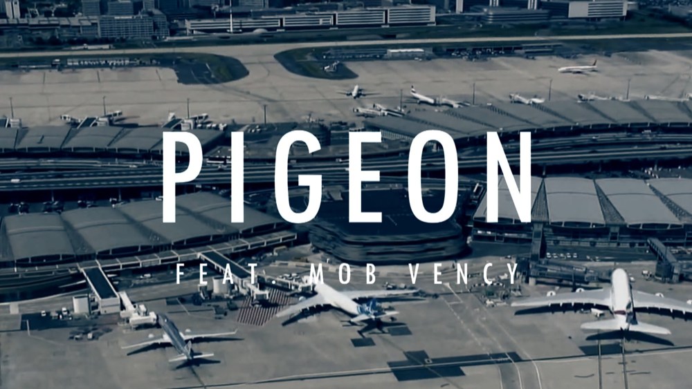 Pigeon