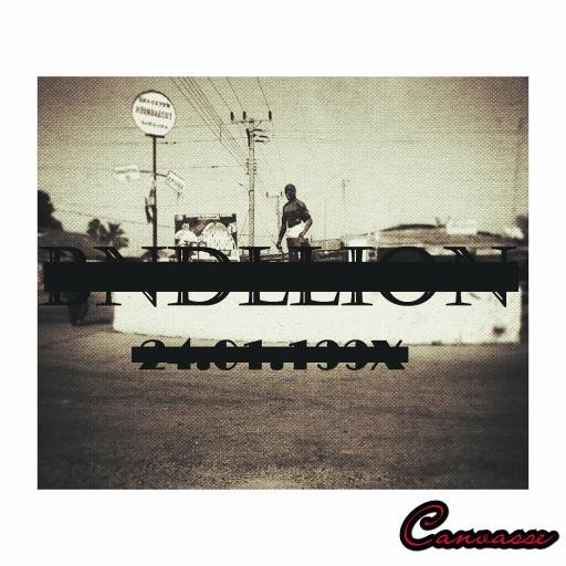 BNDLLION 24.01 (EP)