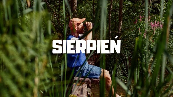 sierpień