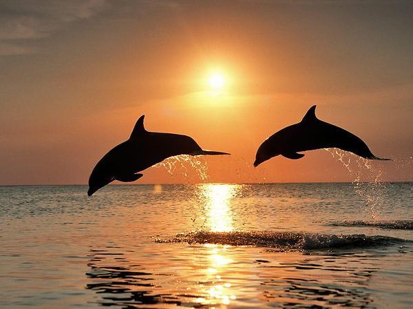 What a Wonderful World